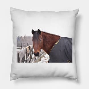 Neejee Pillow