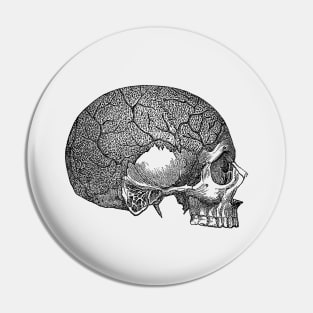 Vein and Skull Diagram - Vintage Anatomy Pin