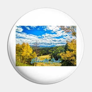 The Enchanted Circle Pin