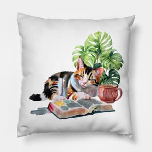 Sleeping Calico Pillow