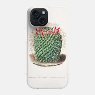 Pincushion Cactus (Mammillaria Dolichocentra) from Iconographie descriptive des cactées by Charles Antoine Lemaire (1801–1871) Phone Case