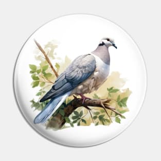 Collared Dove Pin