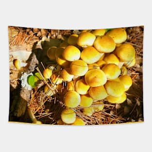 Baby Honey Mushrooms Tapestry