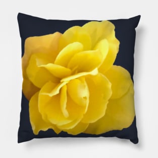 Yellow Double Begonia Close-up on Navy Background Pillow