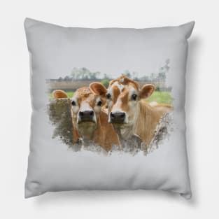 Curious Cows Pillow