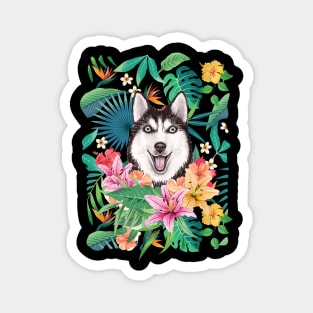 Tropical Black White Siberian Husky 12 Magnet