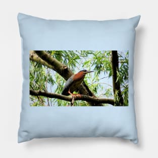 Green Heron-2 Pillow