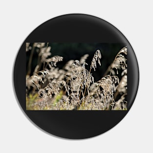 Meadow Grass Pin