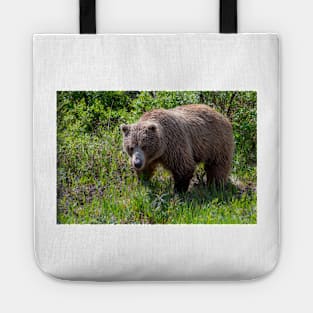 GrizzlyBear in Mradow Tote