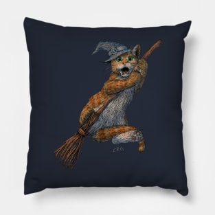 Funny Cat Witch Falling off a Broom Pillow