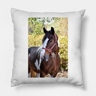 Drum horse Pillow