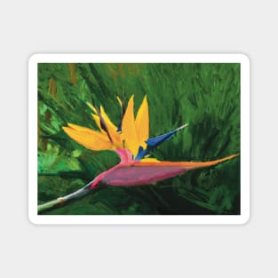 Bird of Paradise Hawaii Magnet