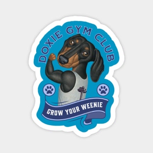 Cute Doxie Gym Club Member to Grow Your Weenie in Blue Magnet