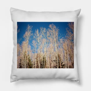 Back Country Pillow