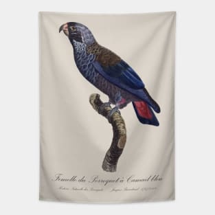 Dusky Parrot / Femelle du Perroquet a Camail Bleu - 19th century Jacques Barraband Illustration Tapestry