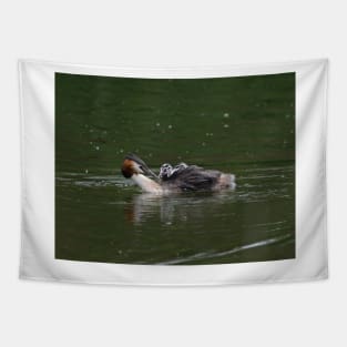 Great Crested Grebe Tapestry