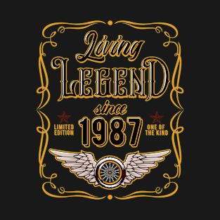 33rd Birthday Gift For Men Women Living Legend Since 1987 T-Shirt