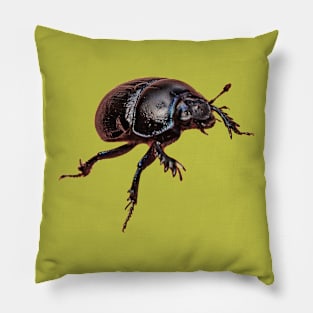 Dor Beetle Pillow