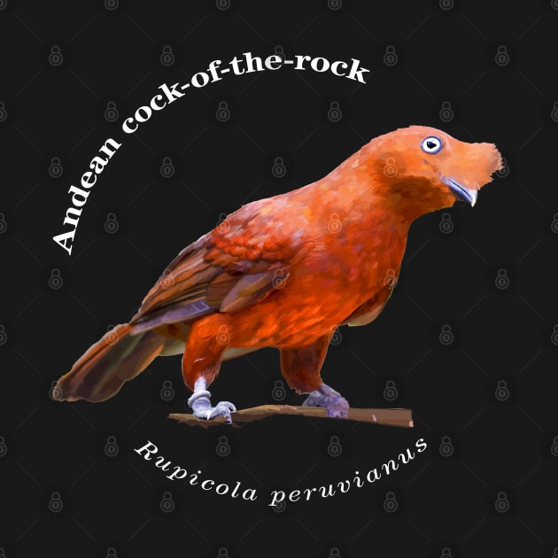 Andean cock-of-the-rock tropical bird pin white text by Ornamentum