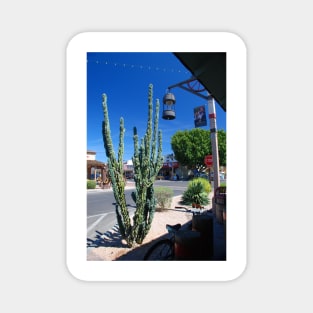Old Town Cactus Magnet