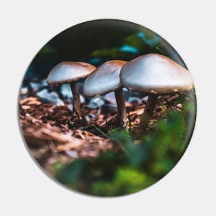 Wild Mushrooms Photograph Pin