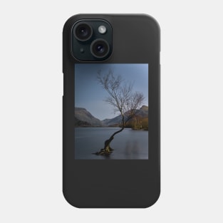 THE LONE LESS TREE Phone Case