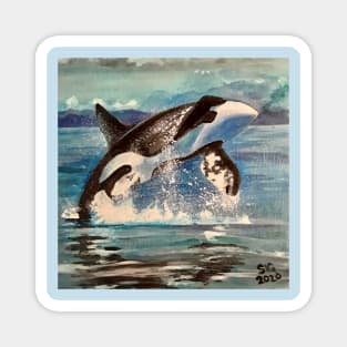 Happy Orca - Orca Strait IV Magnet