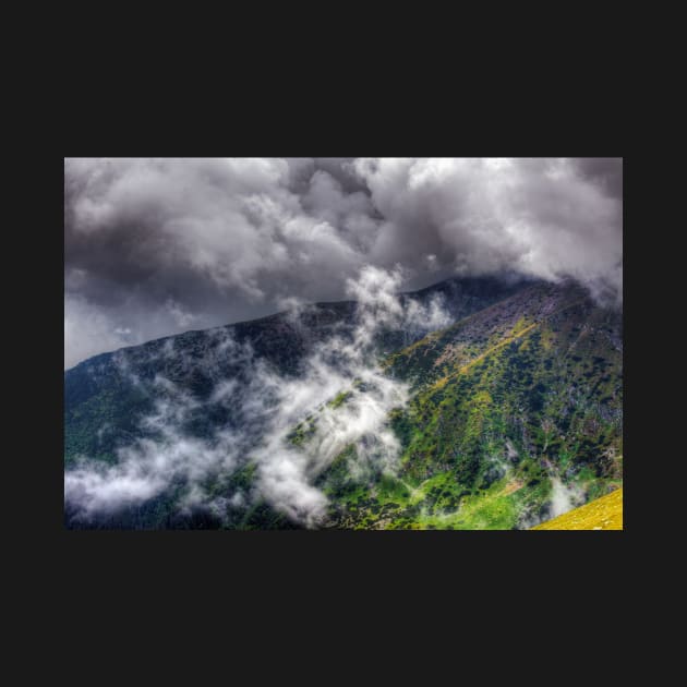 Landscape with Parang mountains in Romania by naturalis