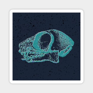 Animal skull Magnet