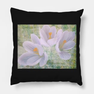 Blauer Krokus Pillow