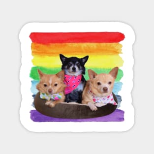 Rainbow Paint Chihuahua Magnet