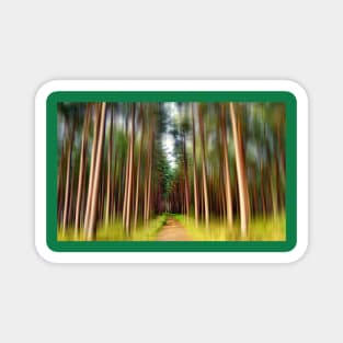 Path Through the Pines. Magnet