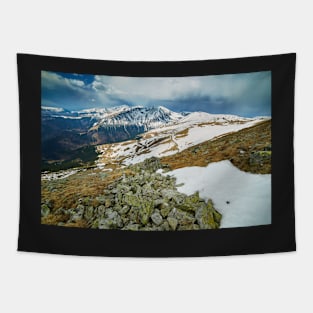 Mountain range in the spring Tapestry