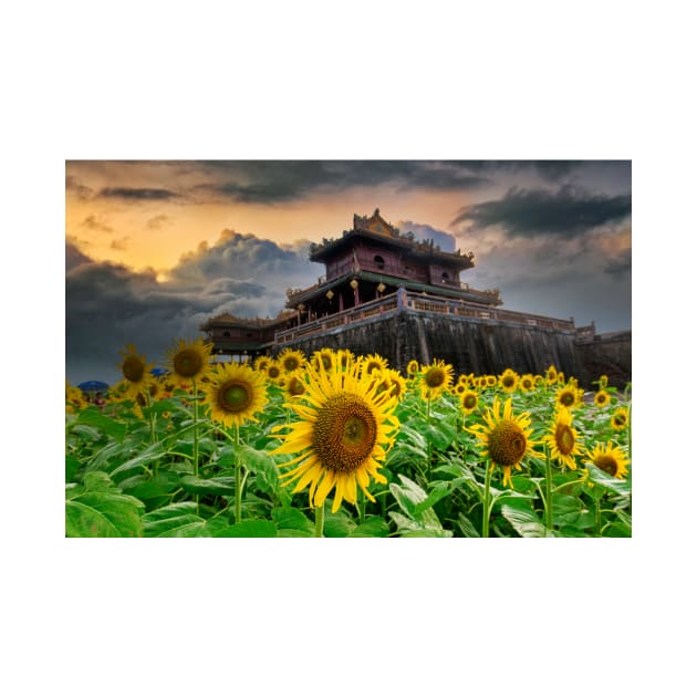 The Citadel, Hue Vietnam by dags