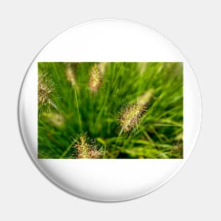 Bright spring grass field with sunlight bokeh background Pin