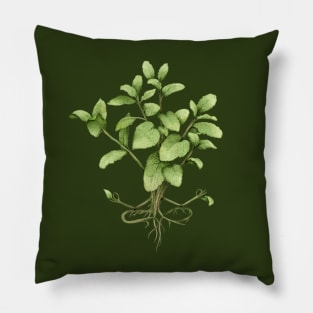 mint plant yoga Pillow