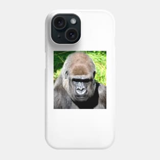 SILVERBACK Phone Case