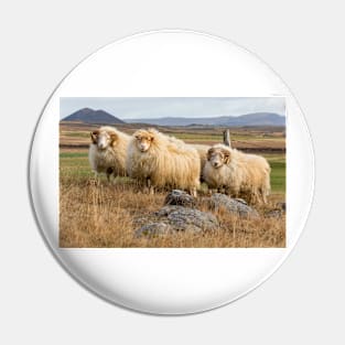 Icelandic Sheep Pin