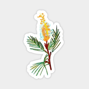 Australian Native Flower - Bottlebrush Flower Magnet