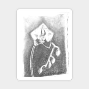 Graphite Orchids Magnet