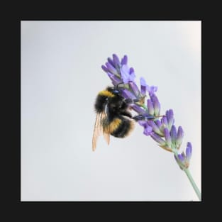 Bumble Bee on Lavendar T-Shirt