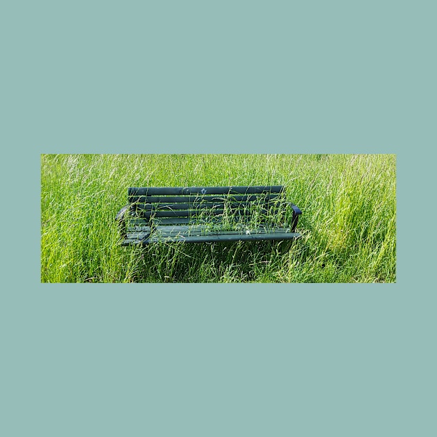 Bench in the grass photo design by OnuM2018