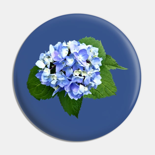 Hydrangeas - Blue and Purple Hydrangea Pin by SusanSavad