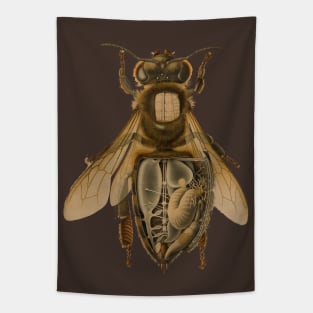 Anatomy of a Bee Tapestry