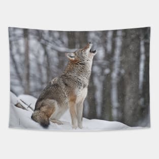 Howling Coyote Tapestry