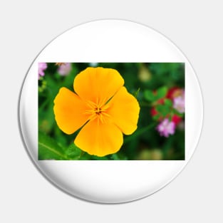 Yellow flower close-up against blurry green background Pin