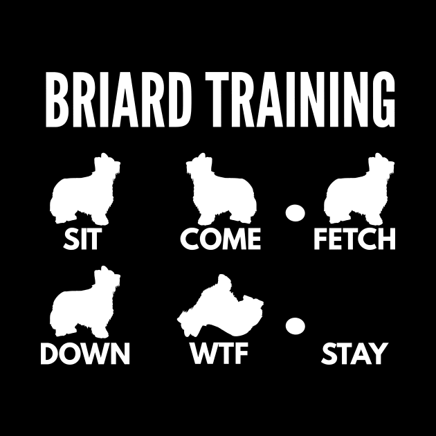 Briard Training Berger de Brie Tricks by DoggyStyles