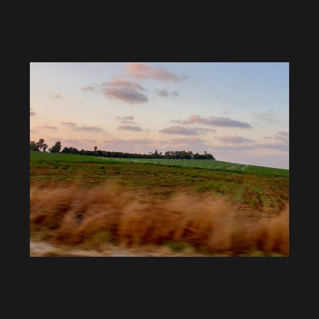 Watering Green Fields by sigdesign