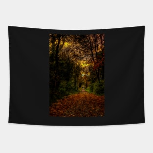 An Autumn Countryside Walk Tapestry