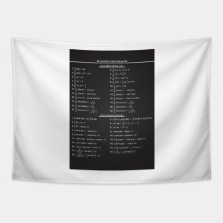 Derivatives And Integrals Tapestry